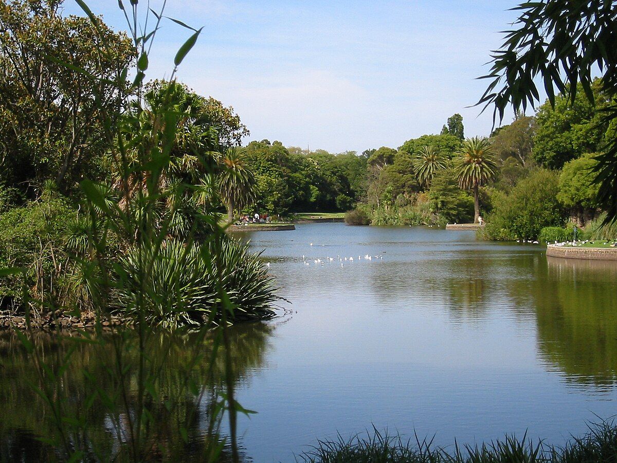 {{Information |Description={{en|1=Looking across the water }} |Source=Eigenes Werk (own work) |Author=Cookaa |Date= |Permission= |other_versions= }} Category:Royal Botanic Gardens, Melbourne